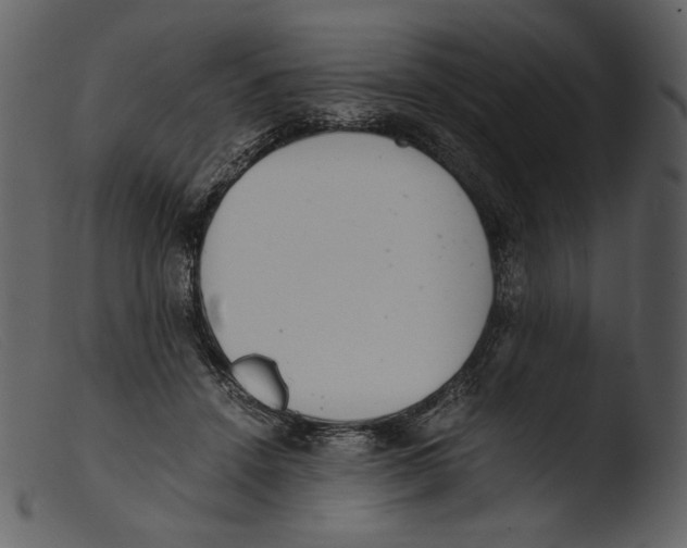 X0000103270456200809261206