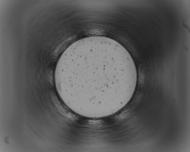X0000103270457200809261206