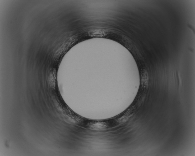 X0000103270460200809261206