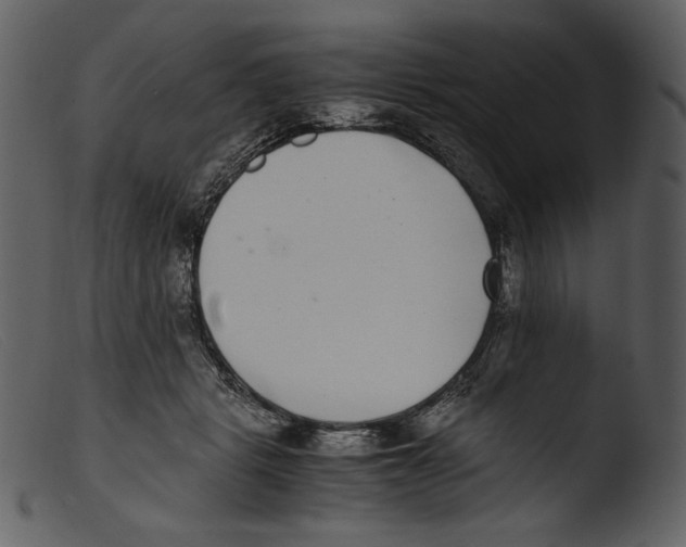 X0000103270461200809261206