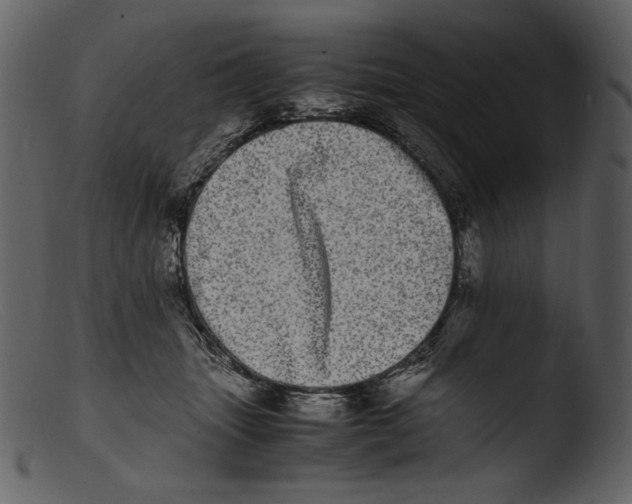 X0000103270463200809261206