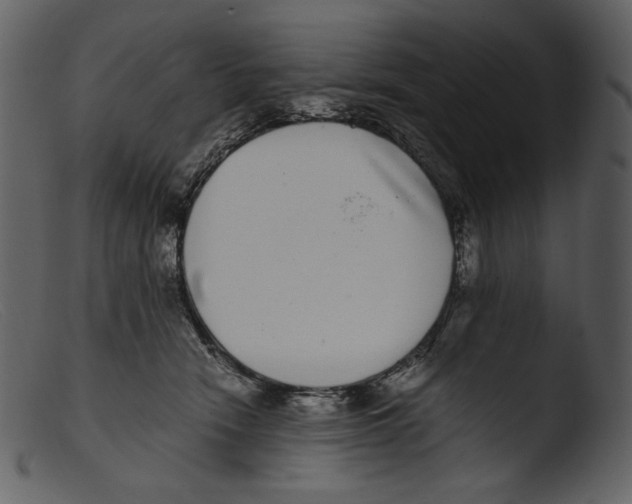 X0000103270466200809261206