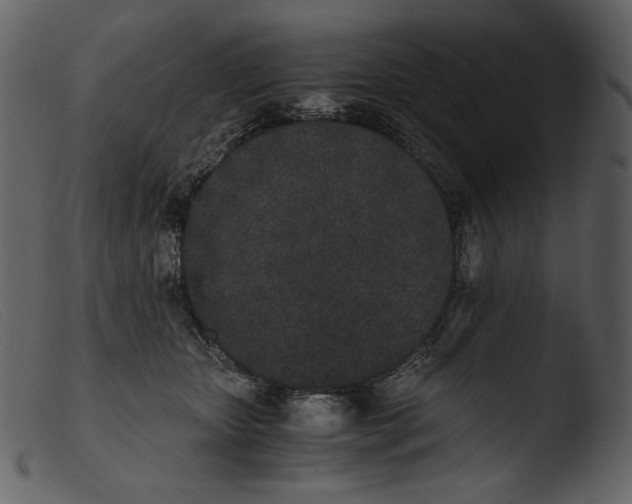 X0000103270467200809261206
