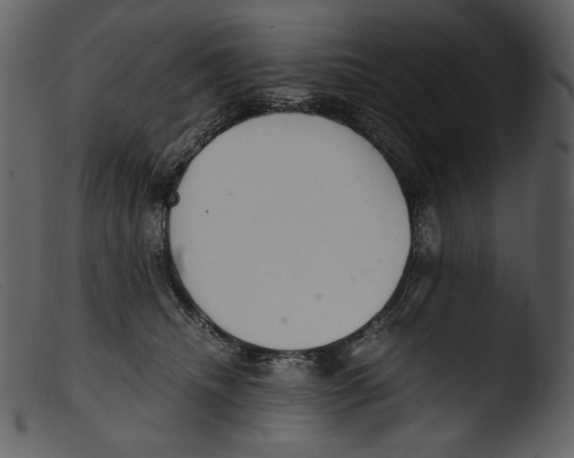 X0000103270468200809261206