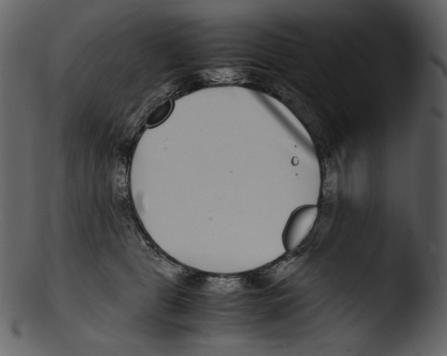 X0000103270469200809261206