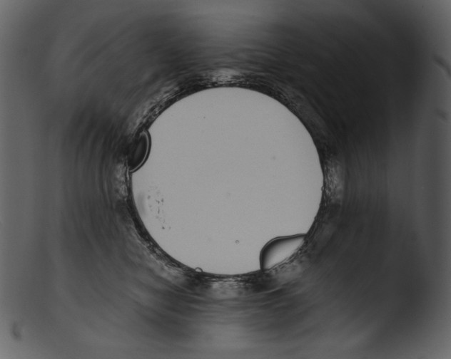 X0000103270470200809261206