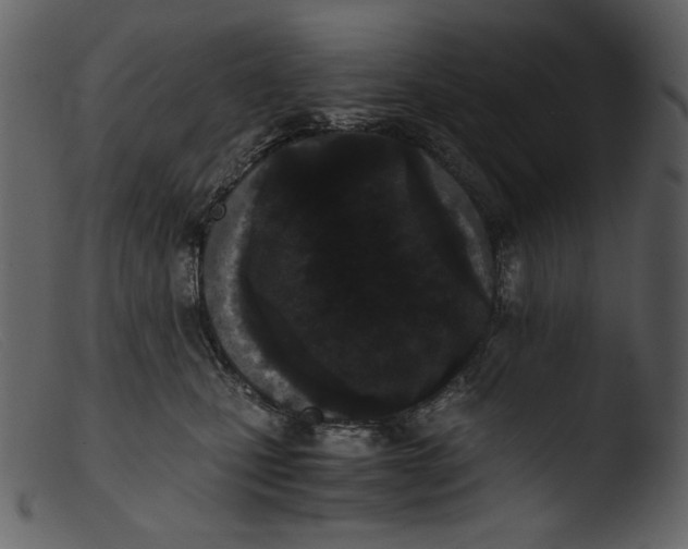 X0000103270471200809261206