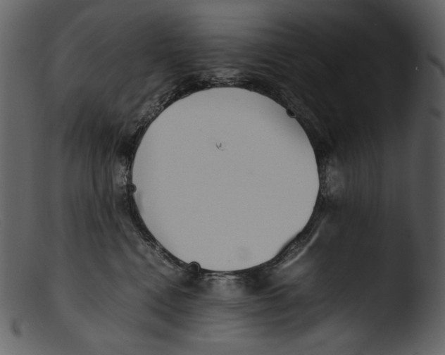X0000103270472200809261206