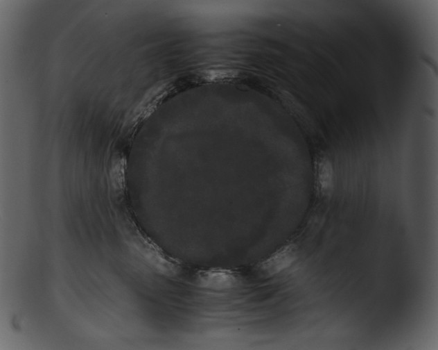 X0000103270475200809261206