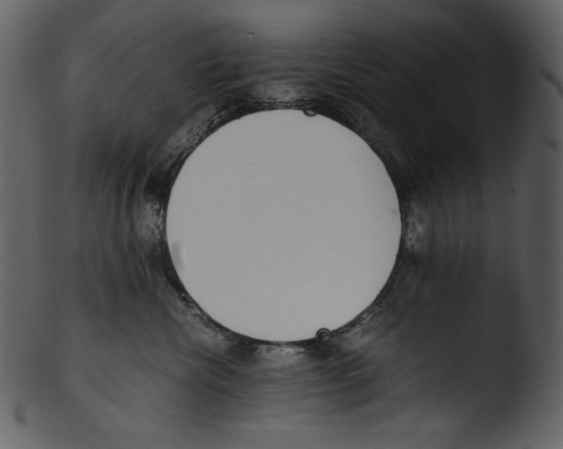 X0000103270476200809261206