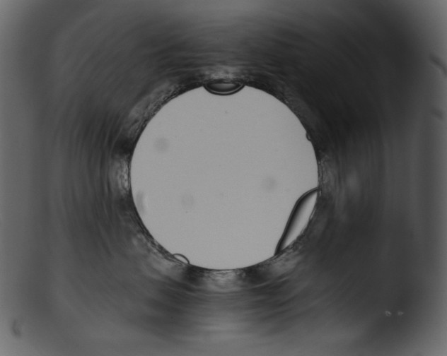 X0000103270479200809261206