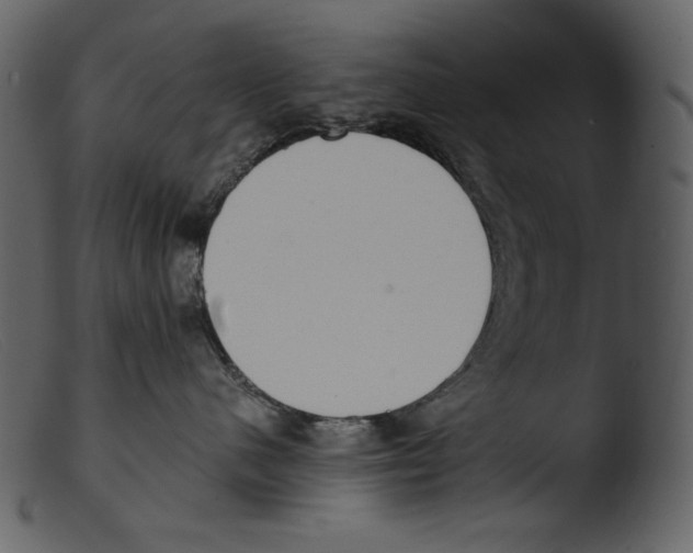 X0000103270480200809261206