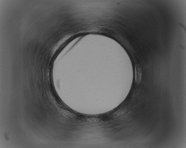 X0000103270483200809261206