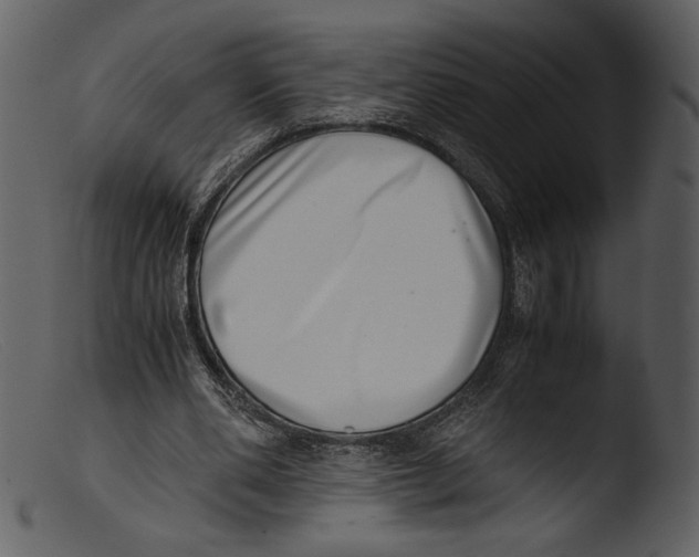X0000103270486200809261205