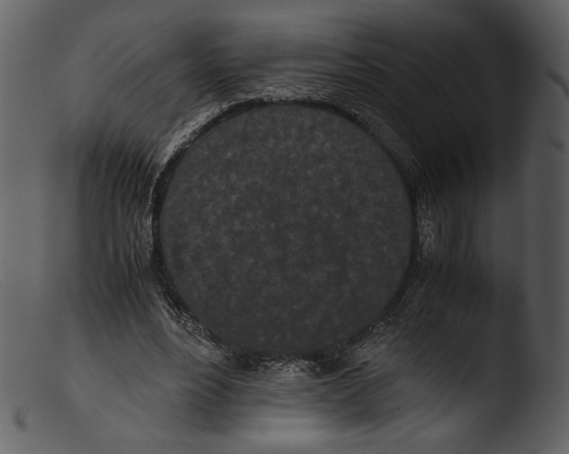 X0000103270488200809261205
