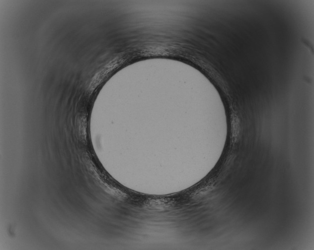 X0000103270489200809261205