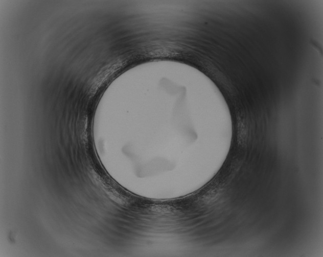 X0000103270490200809261205