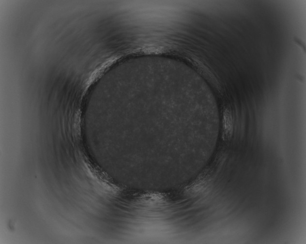X0000103270492200809261205