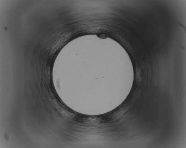 X0000103270493200809261205