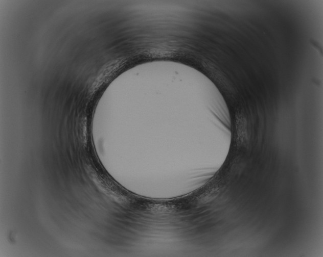 X0000103270494200809261205