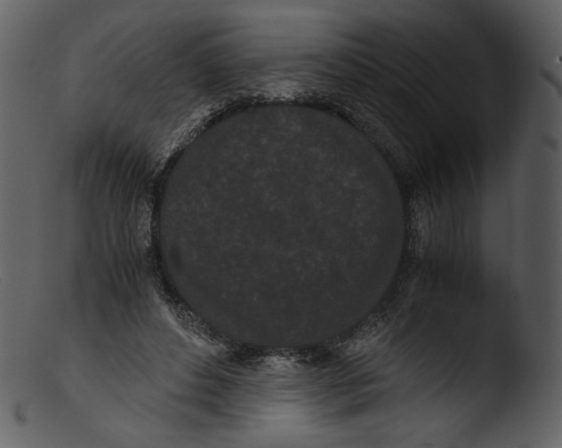X0000103270496200809261205