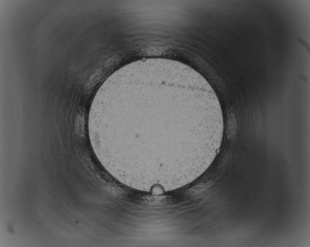 X0000103270497200809261205