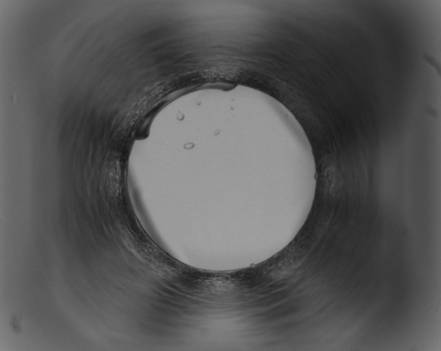 X0000103270498200809261205