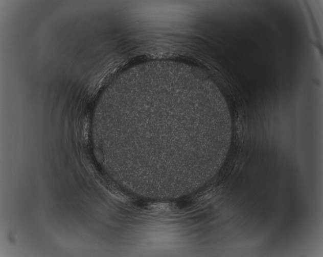 X0000103270499200809261205