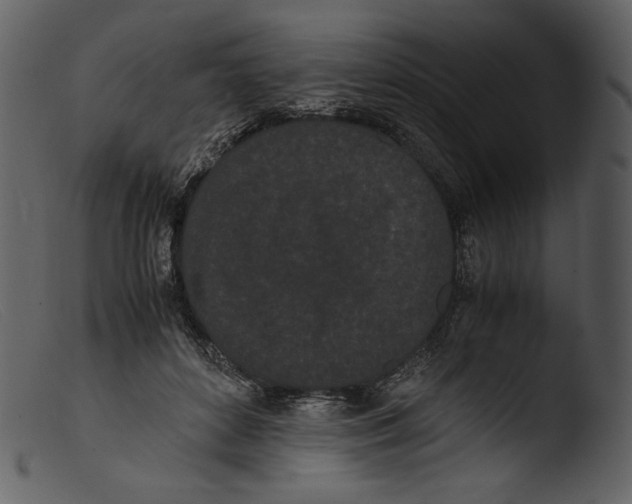 X0000103270504200809261205