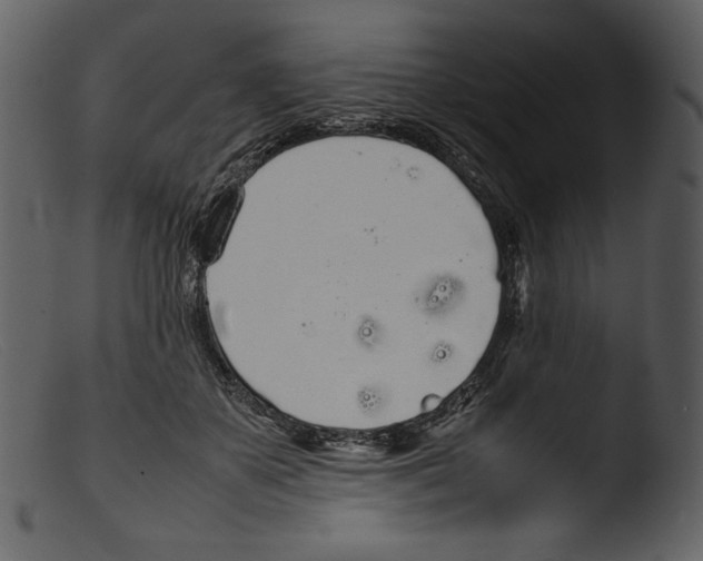 X0000103270507200809261205