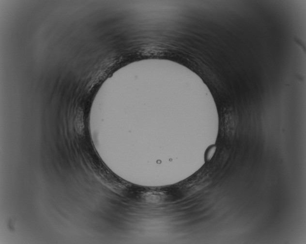 X0000103270508200809261205