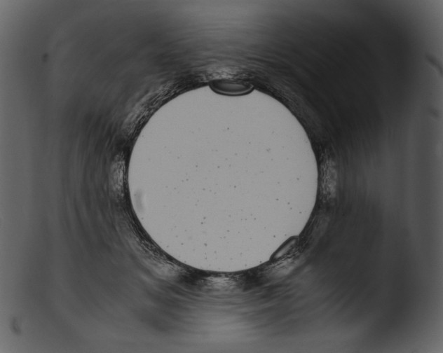 X0000103270509200809261205