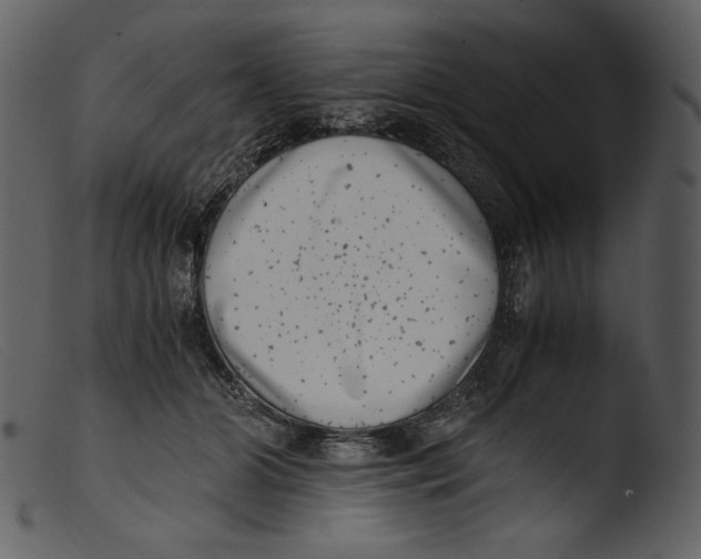 X0000103270510200809261205