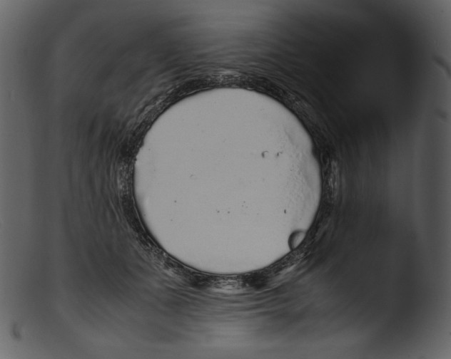 X0000103270511200809261205