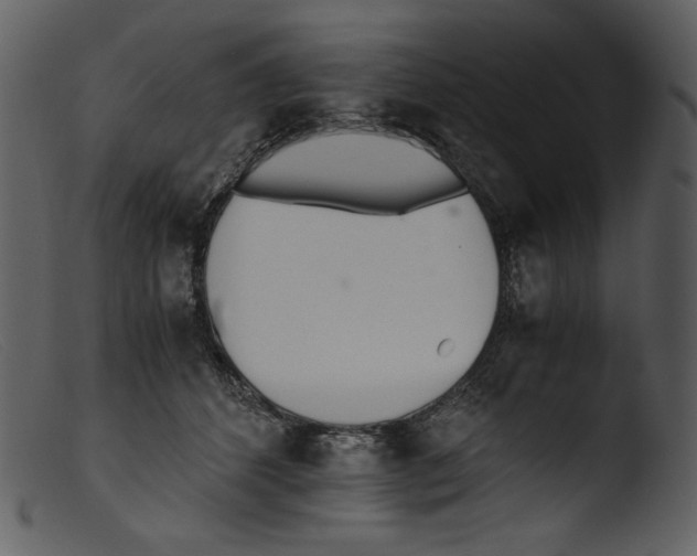 X0000103270512200809261205
