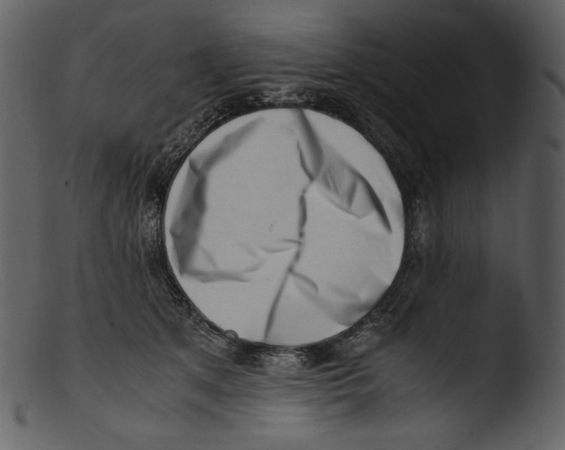 X0000103270513200809261205