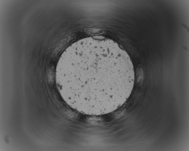 X0000103270515200809261205