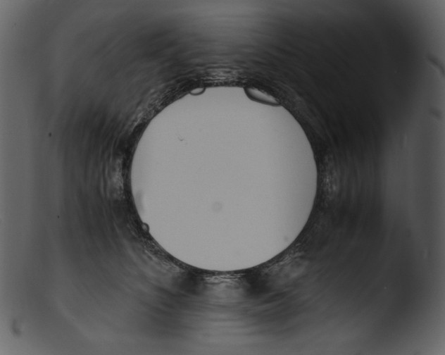 X0000103270516200809261205