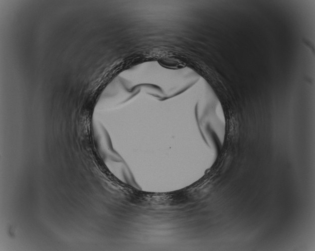 X0000103270517200809261205