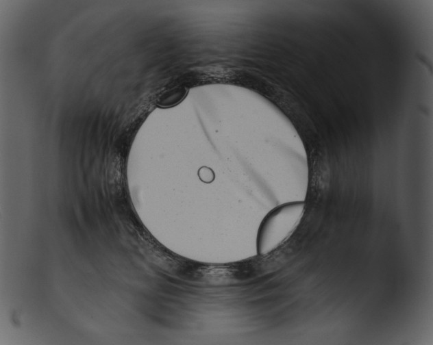 X0000103270518200809261205