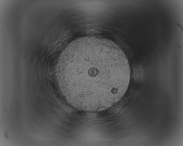 X0000103270519200809261205