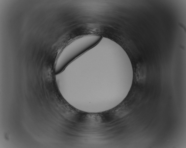 X0000103270520200809261205