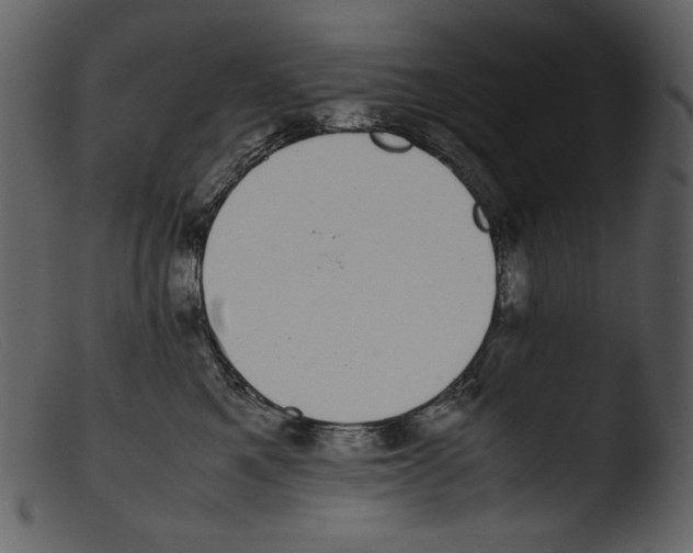 X0000103270521200809261205