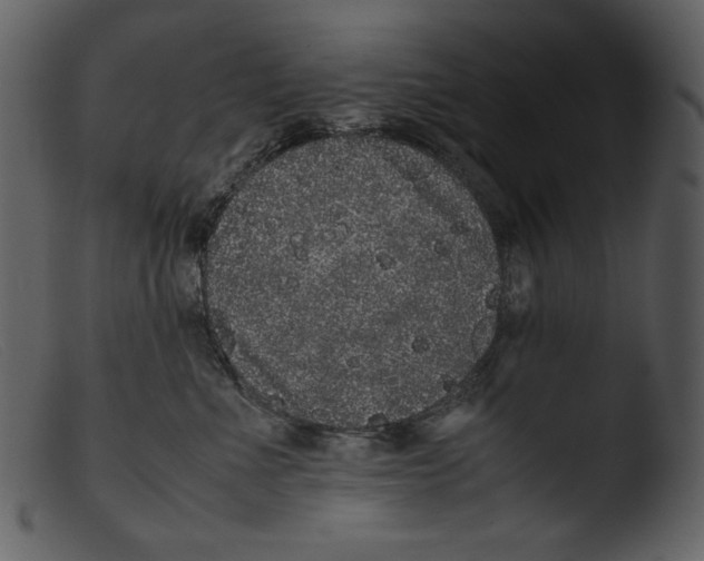 X0000103270523200809261205