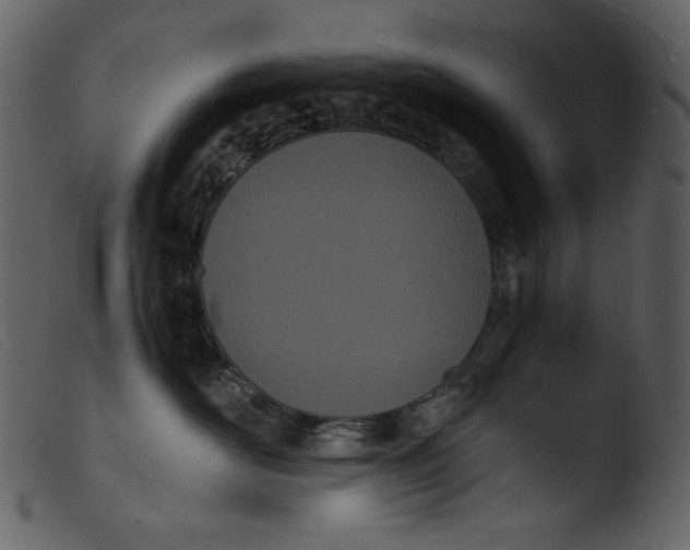 X0000103270526200809261205