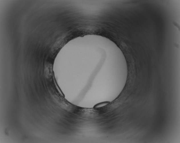 X0000103270528200809261205