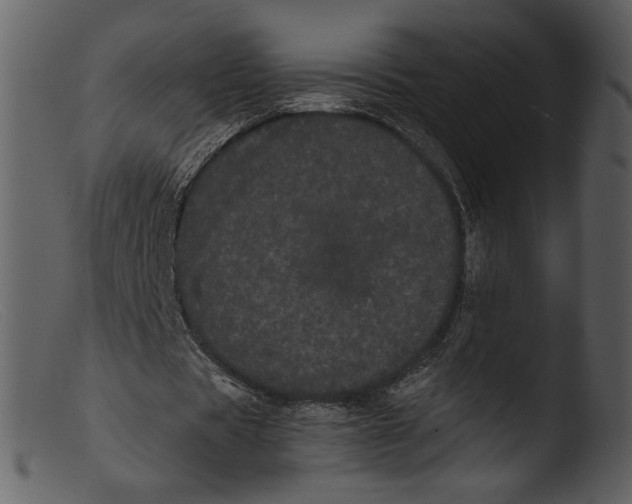 X0000103270529200809261204