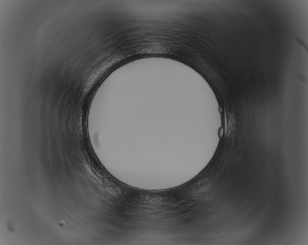 X0000103270531200809261204