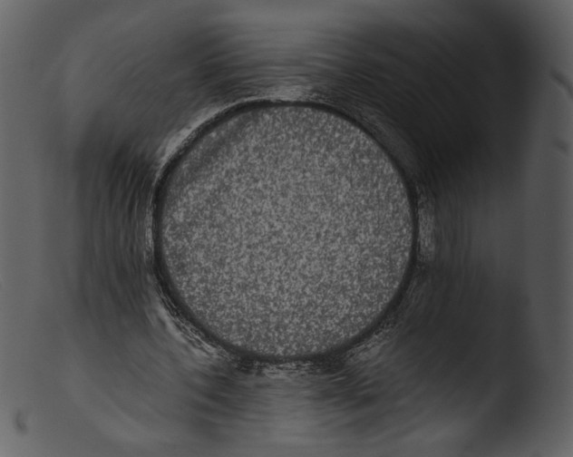 X0000103270532200809261204