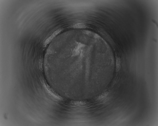 X0000103270533200809261204